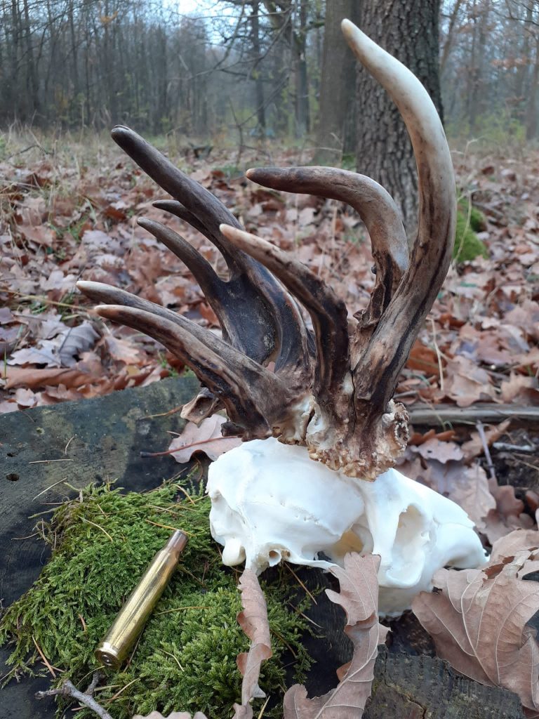 KŁ nr 15 „Budowlani”