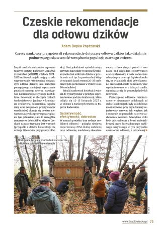 Czeskie rekomendacje dla odłowu dzików