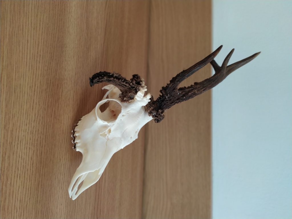 KŁ „Diana” w Chrzanowie