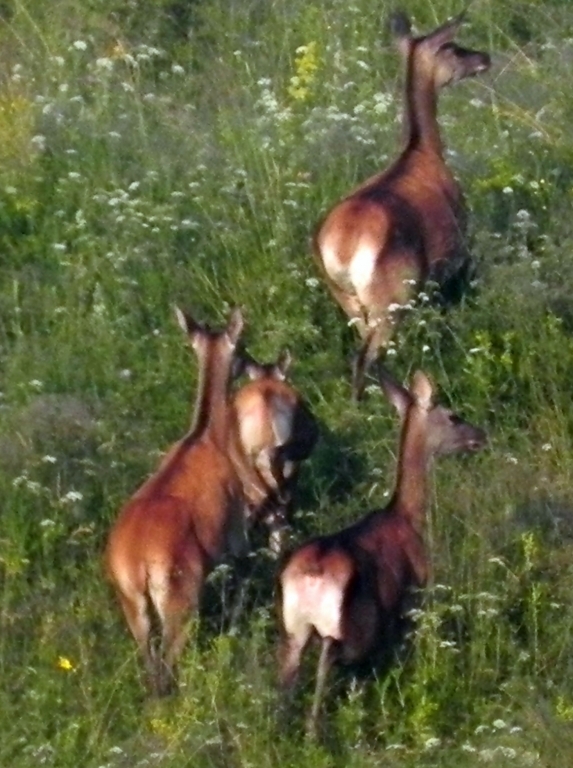 PORANNE SPOTKANIE