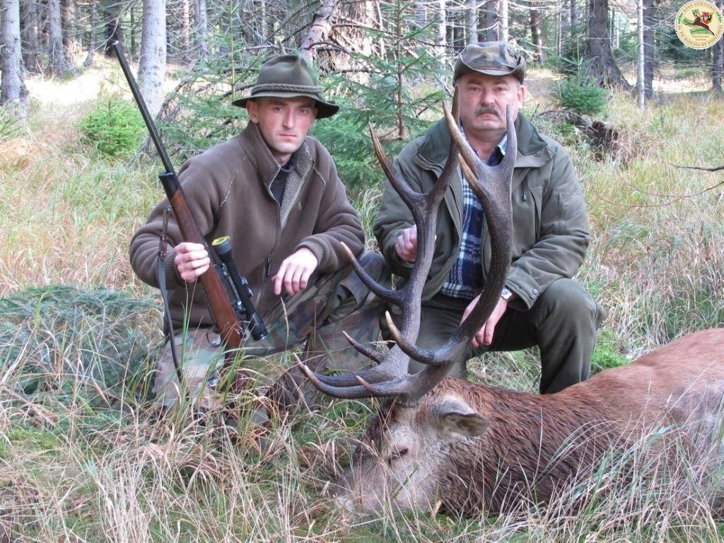 Rykowisko 2011