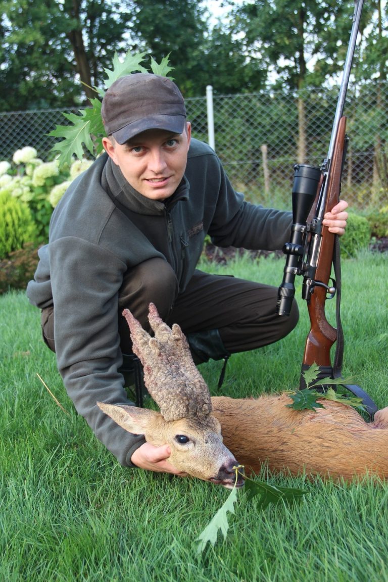 Rogacz_KŁ „Knieja-Lubociesz” w Lipach