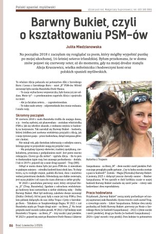 Barwny Bukiet, czyli o kształtowaniu PSM-ów