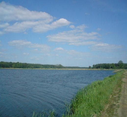 nad wodą