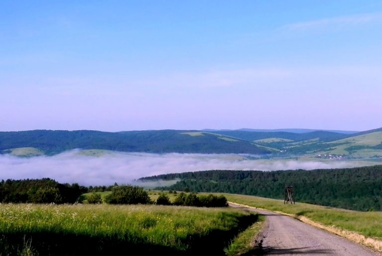 KRAJOBRAZ Z AMBONĄ
