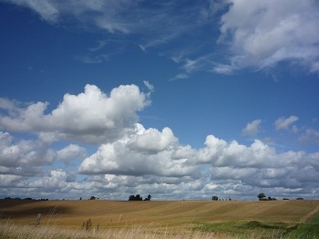 Te Mazury