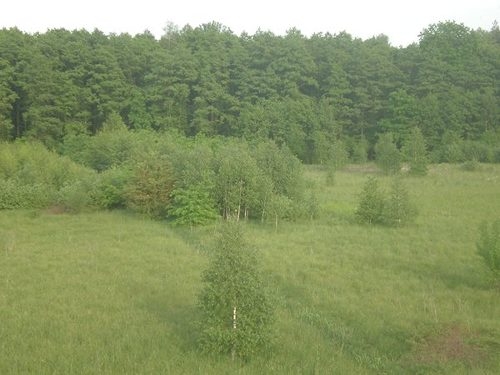 widoki z ambony