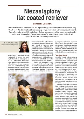 Niezastąpiony flat coated retriever
