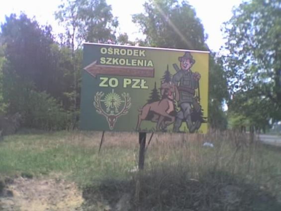Strzelnica myśliwska