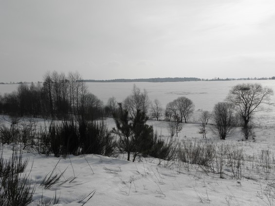 zima