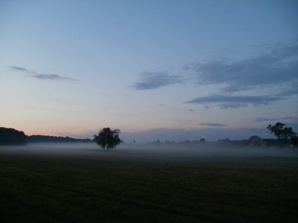 zmierzch