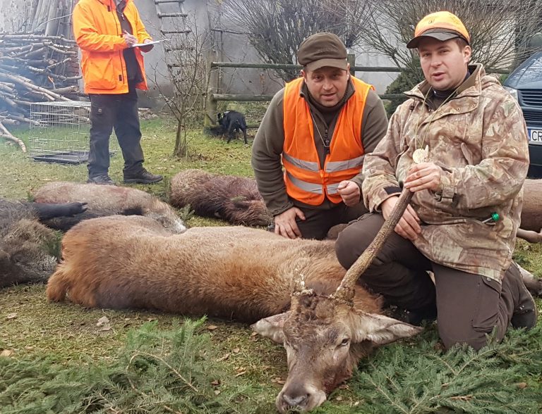 KŁ „Łoś” w Rypinie