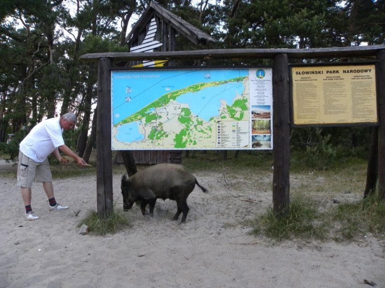 Przyroda je z ręki
