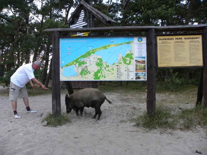 Przyroda je z ręki