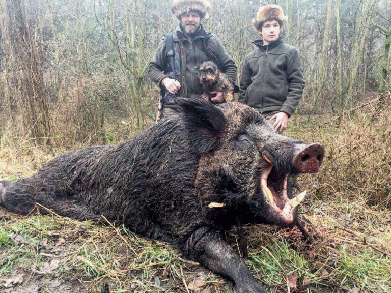 KŁ „Knieja” w Krotoszynie, 184 kg