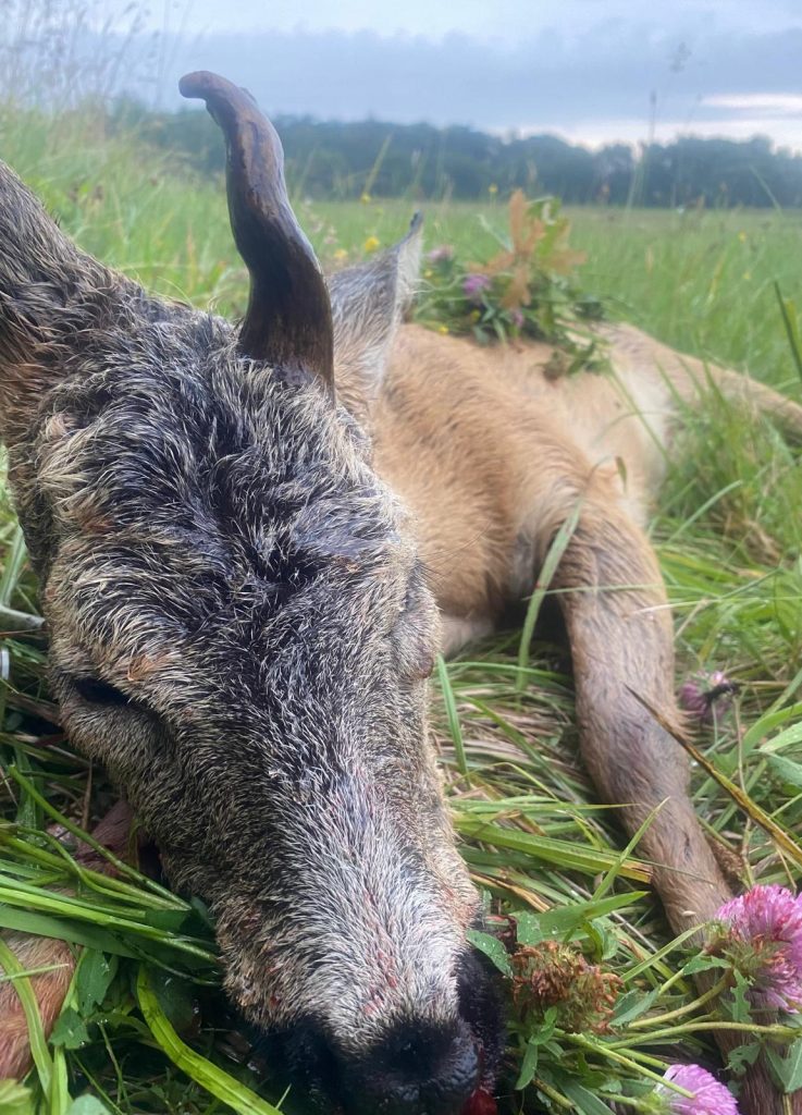 WKŁ „Knieja” w Słupsku
