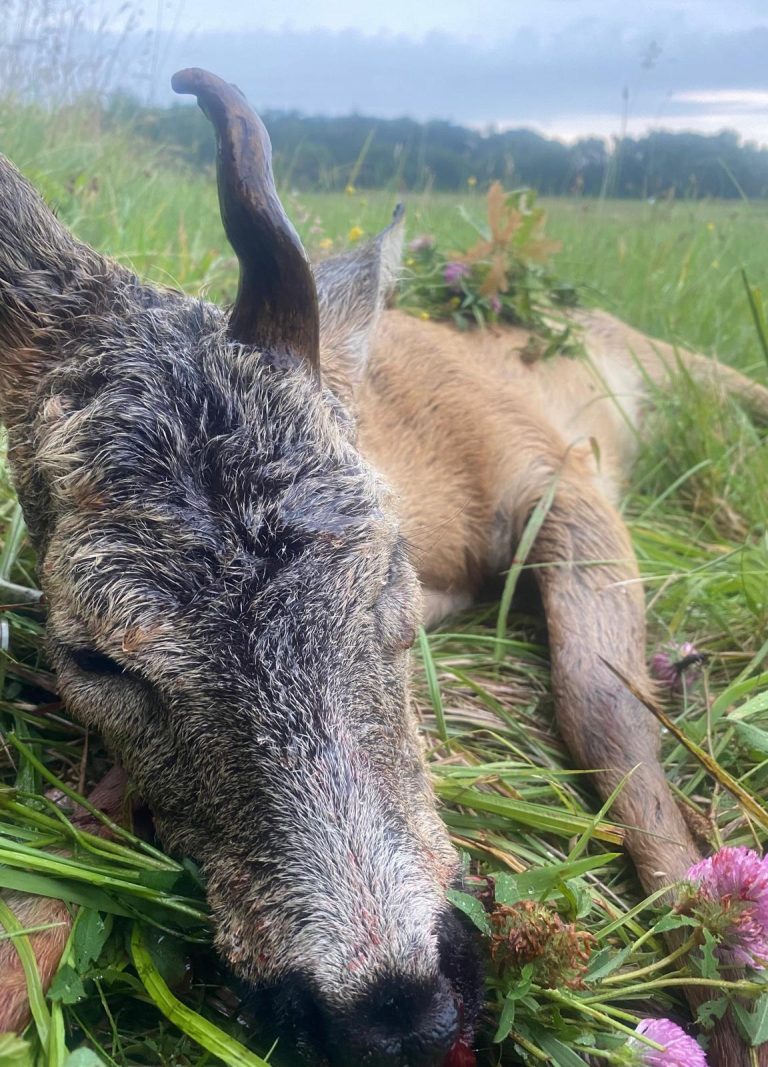 WKŁ „Knieja” w Słupsku