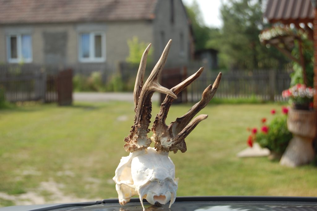 KŁ 