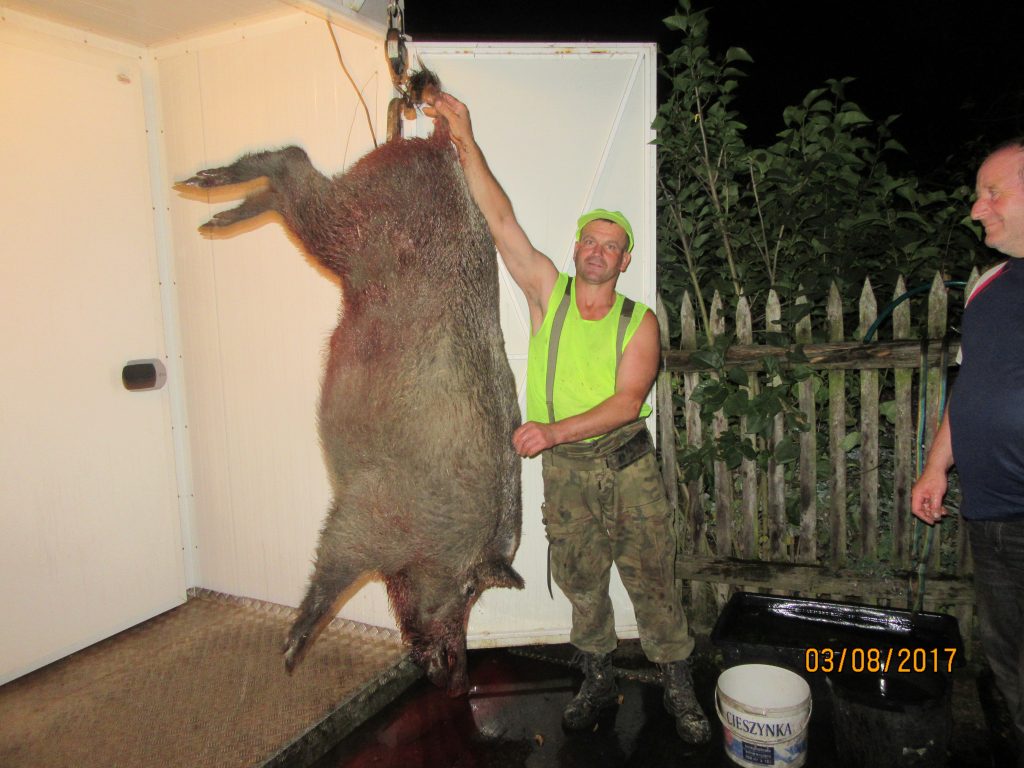 KŁ „Diana” w Ogrodzieńcu, 161 kg