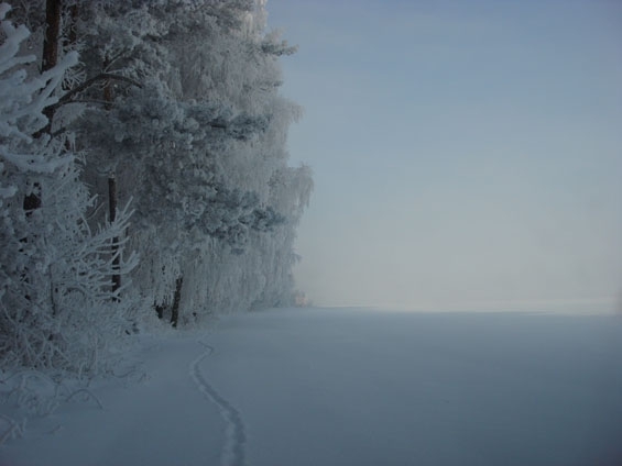 ZIMA