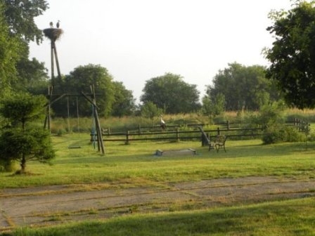 widok z mego okna