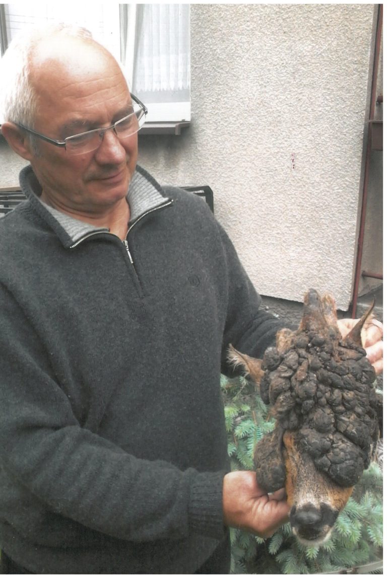 Rogacz_KŁ „Ryś” w Lubawie