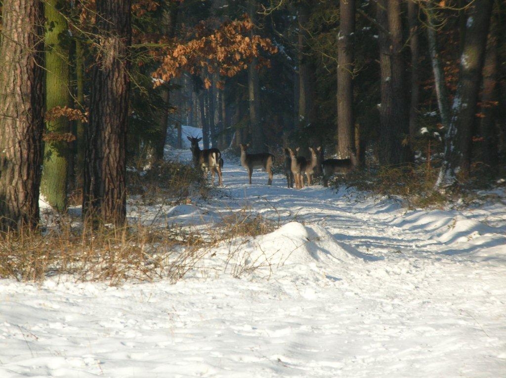 w łowisku