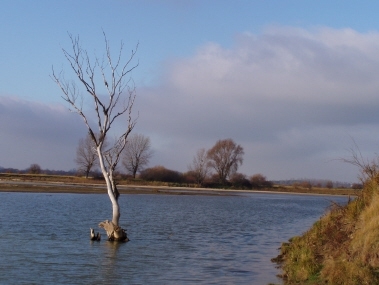 Wisła