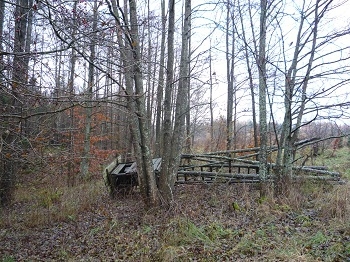 Ambona