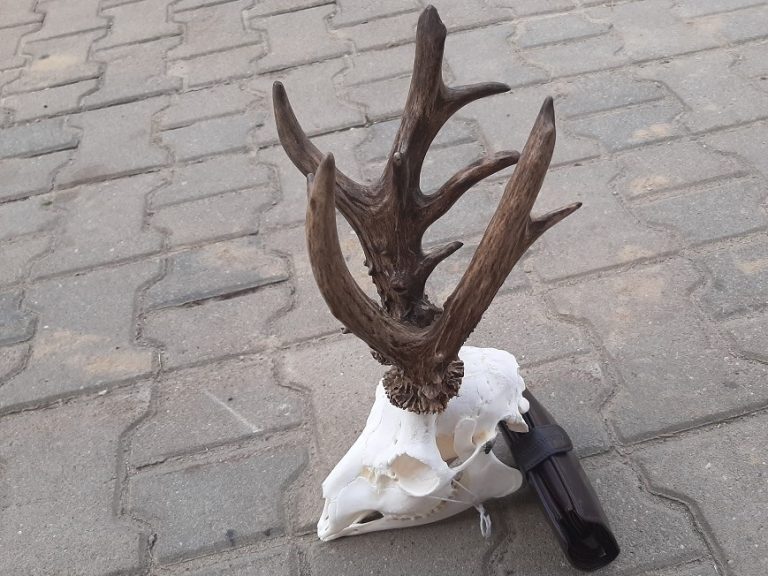 KŁ „Gamrat” w Węgrzcach