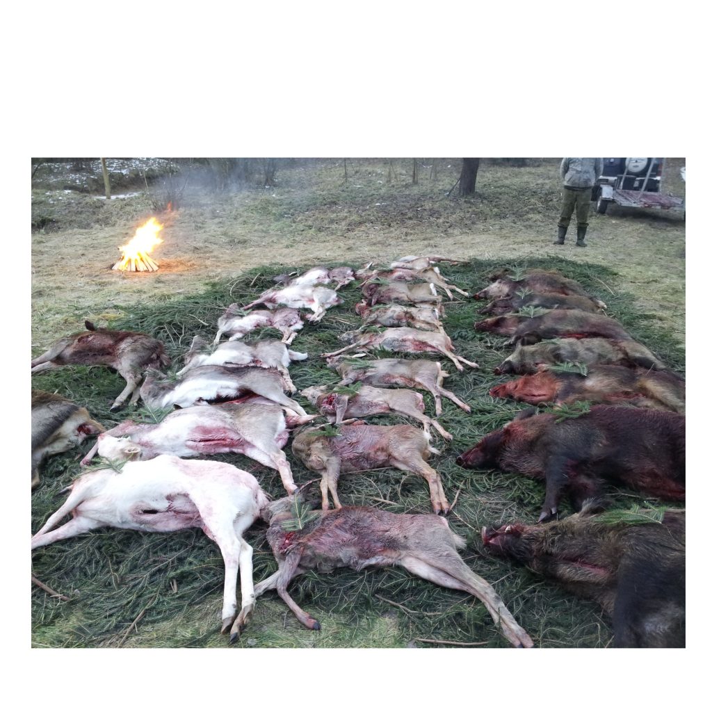 pokot