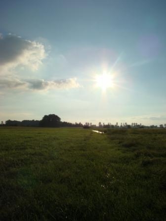 Karczunek