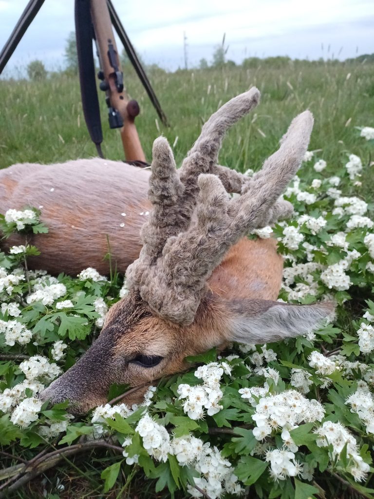 KŁ „Ponowa” w Chorzelowie