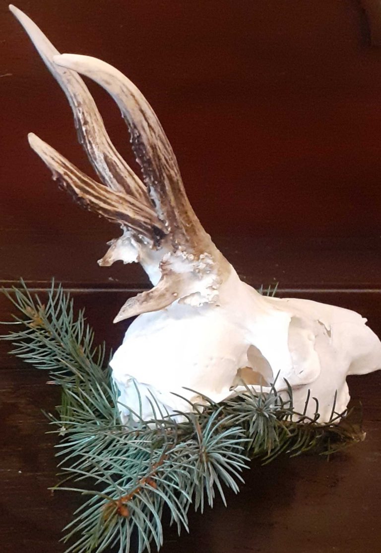 KŁ „Księżak” w Zdunach