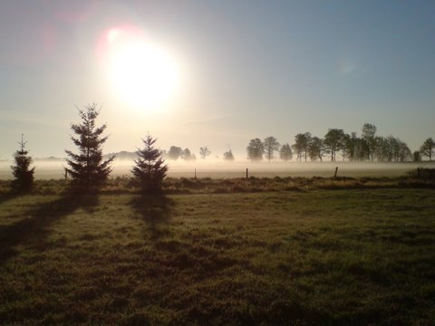 mgła otula mnie