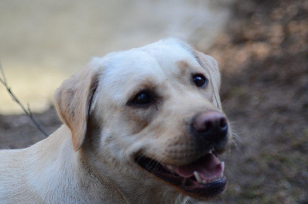 nasza Lili