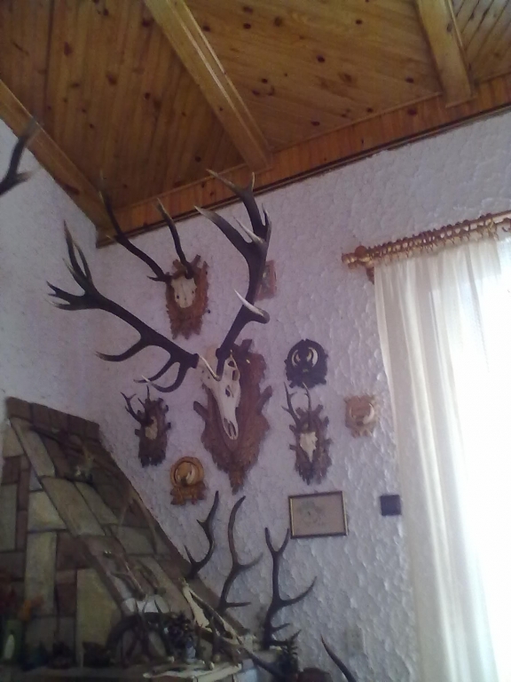 firplace
