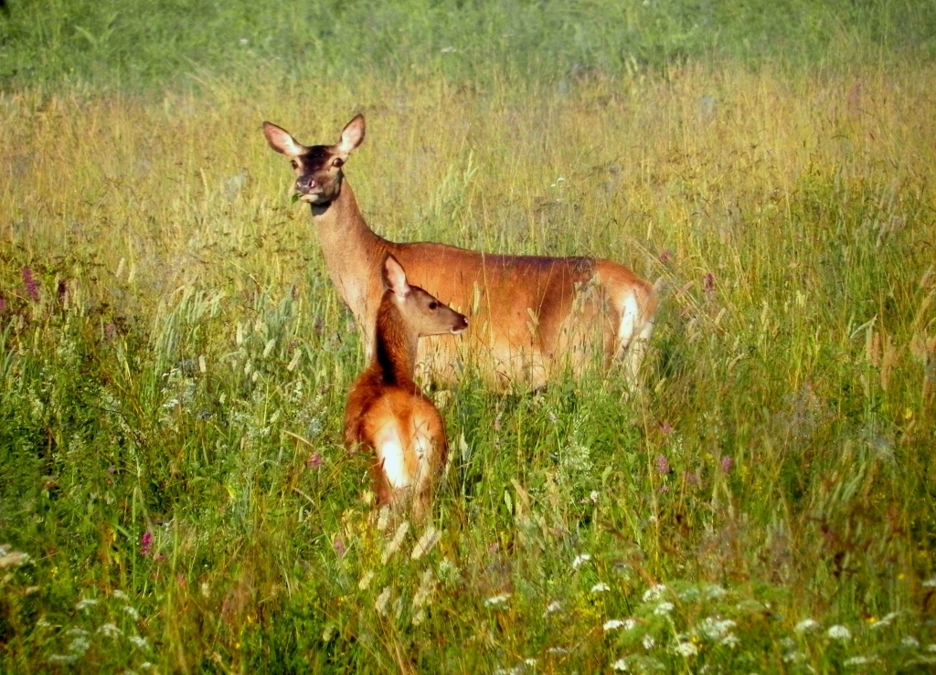 PORANNE SPOTKANIE
