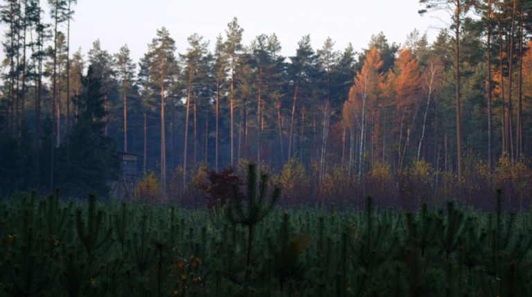 jesień
