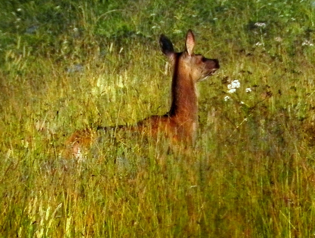 PORANNE SPOTKANIE