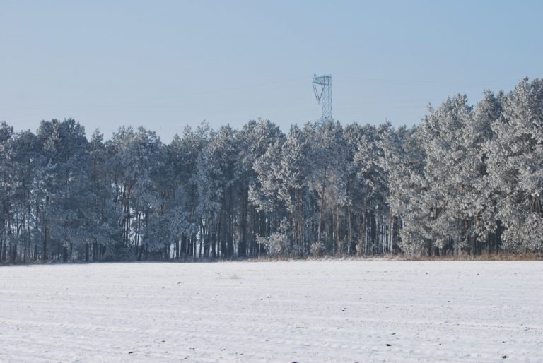 Zima