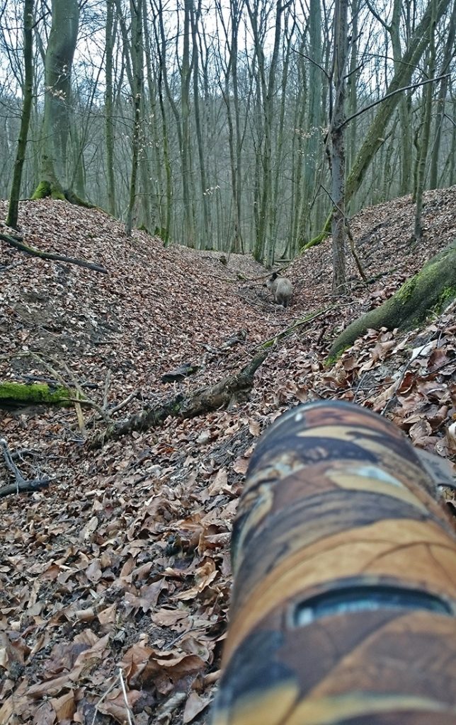 Loszka