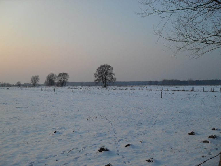 łąki
