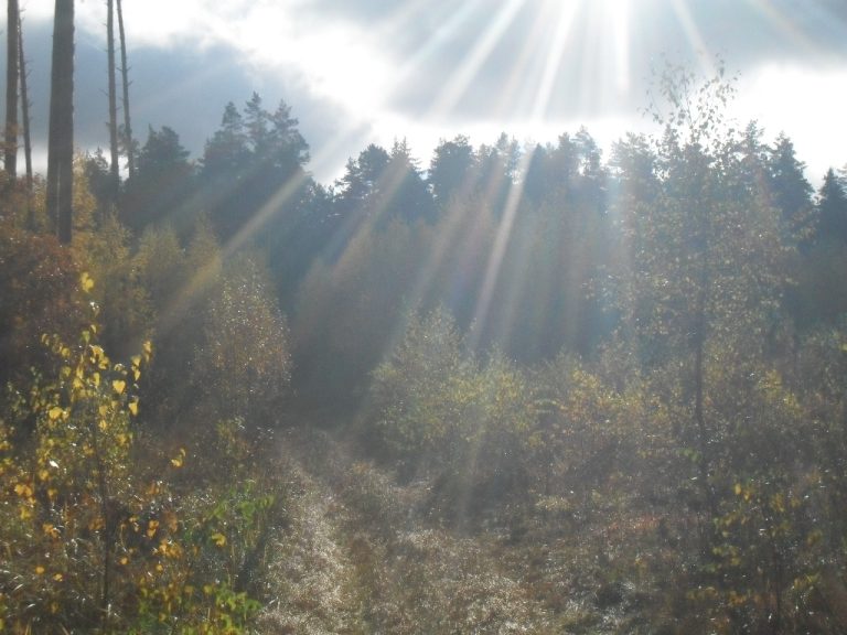 Mazury…