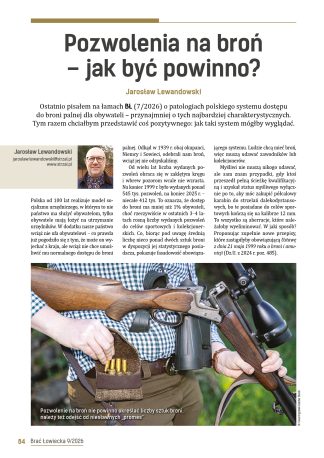 Pozwolenia na broń – jak być powinno?