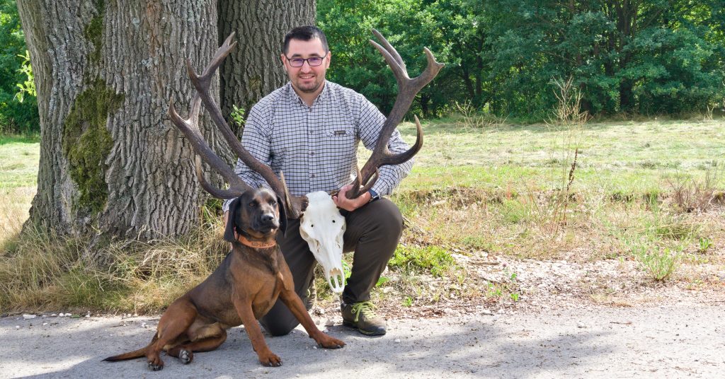 Myśliwy z posokowcem bawarskim u boku trzyma wieniec byka myłkusa wycenionego na brązowy medal