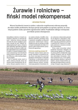 Żurawie i rolnictwo – fiński model rekompensat