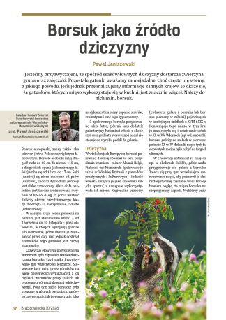 Borsuk jako źródło dziczyzny