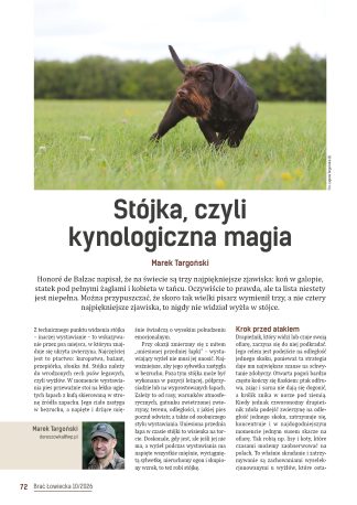 Stójka, czyli kynologiczna magia