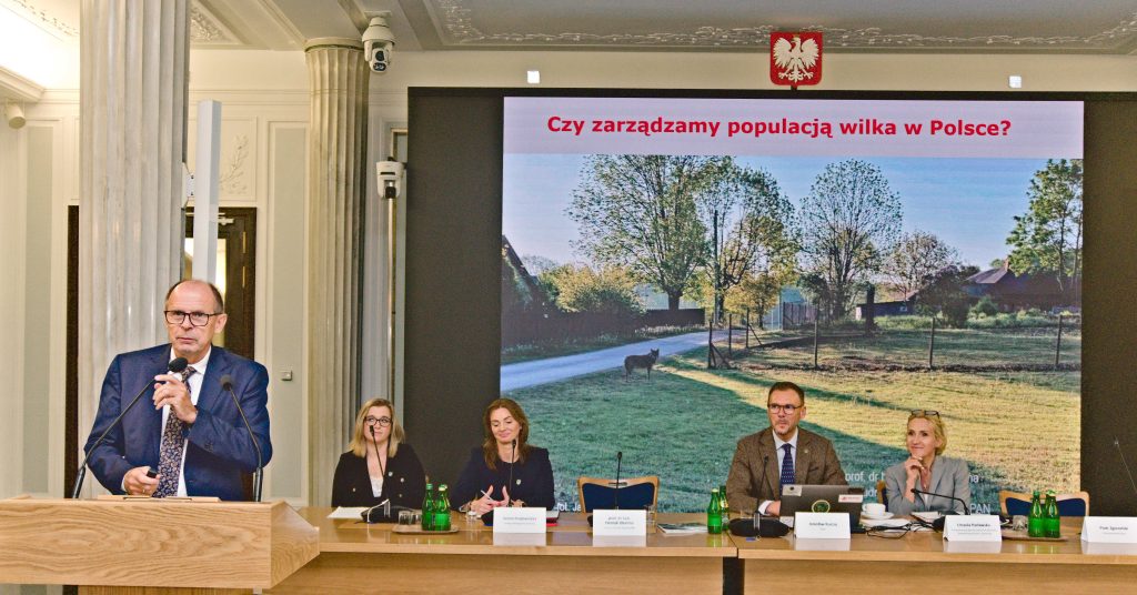 Wystąpienie prof. Henryka Okarmy na konferencji poświęconej strategii zarządzania wilkami zorganizowanej we wrześniu 2026 r. w sejmie
